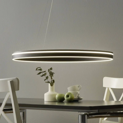 Afbeelding van Paul Neuhaus Q VITO LED hanglamp 79cm antraciet