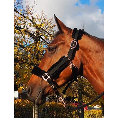 Afbeelding van HB Halster Roségold Teddy mt Cob