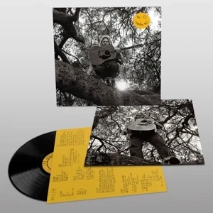 Afbeelding van Ty Segall &quot;Hello, Hi&quot; (LP)