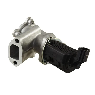 Afbeelding van Hella EGR klep 6NU 010 171 451