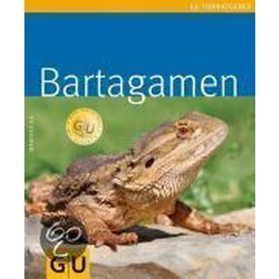 Afbeelding van Bartagamen