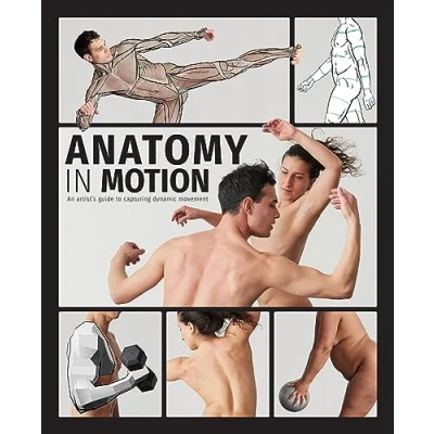 Afbeelding van Anatomy in Motion