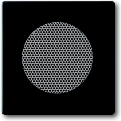 Afbeelding van Busch Jaeger Future Linear centraalplaat voor luidspreker inbouw zwart 2CKA008200A0126