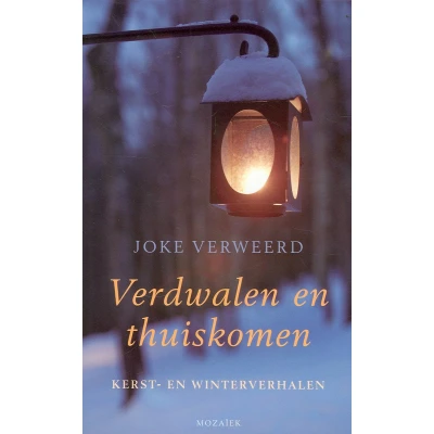 Afbeelding van Verdwalen en thuiskomen