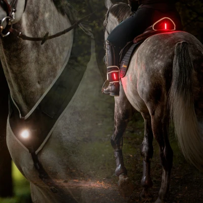 Image de Kavalkade Horselight Set II