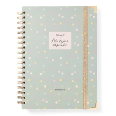 Afbeelding van Mr. Wonderful Extra grote weekkalender 2025 26 met weekorganisatie