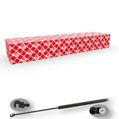 Afbeelding van Febi Bilstein Gasveer 22717