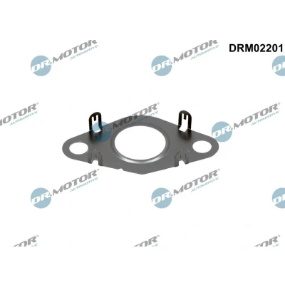 Afbeelding van Dichtring, leiding EGR klep Dr.Motor Automotive DRM02201