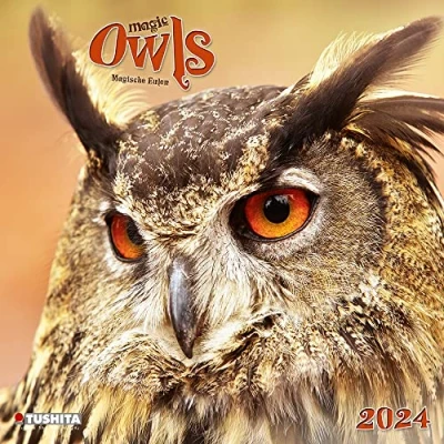Afbeelding van Magic Owls Kalender 2024