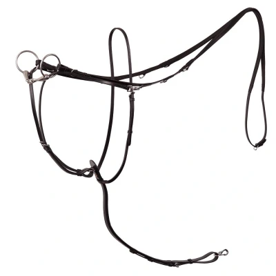 Image de BR Enrênement Thiedemann Rênes Lancaster M/Martingale Noir/Argent Poney