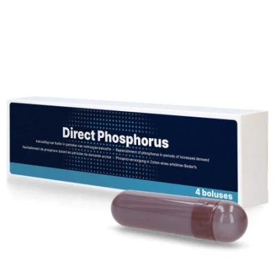 Afbeelding van Direct fosfor bolus 4 stuks