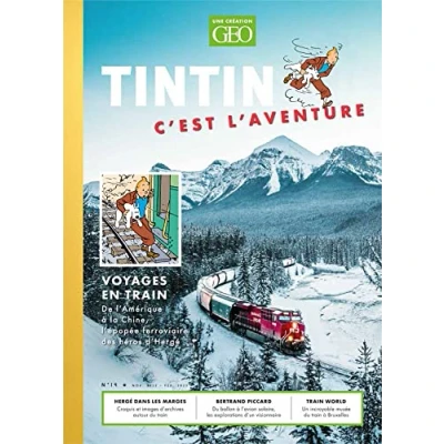 Afbeelding van TINTIN C&#039;EST L&#039;AVENTURE,14:LE TRAIN