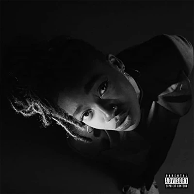 Afbeelding van Little Simz Grey Area (LP)