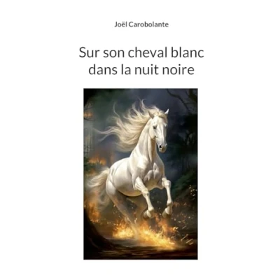 Afbeelding van Sur son cheval blanc dans la nuit noire