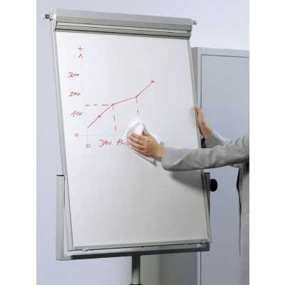 Afbeelding van Durable Schoonmaakdoekjes 575902 130 mm x 180 100 stuk(s)
