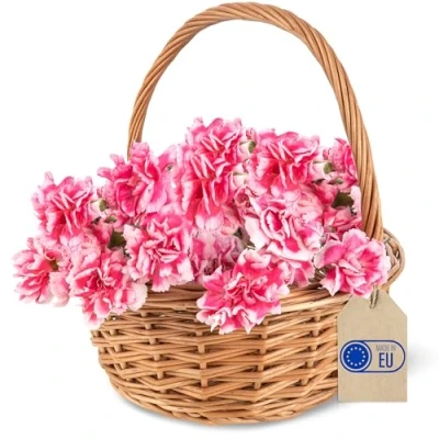 Afbeelding van Creative Home Kleine Rieten Mand met Handvat 22 x 26 cm Cadeau Picnic Pasen Doos Decoratie Paasmandje Handgeweven