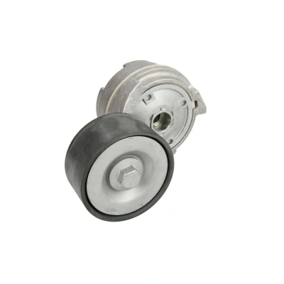 Afbeelding van DAYCO APV1055 Riemspanner