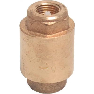 Afbeelding van Mega Terugslagklep veerbelast messing 2 inch binnendraad 10bar type 5