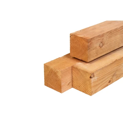 Afbeelding van Lariks/douglas Palen Onbehandeld (Vers Hout) 15x15x250 cm