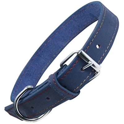 Afbeelding van Dog collar Gloria Oasis Blue (55 x 2,5 cm)