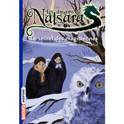 Afbeelding van Les Dragons De Nalsara