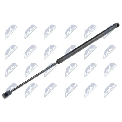 Afbeelding van NTY AE KA 022 Gasveer achterklep 135 481