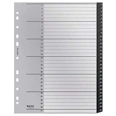 Afbeelding van Tabblad Leitz Recycle A4 11 gaats 1 31 extra breed PP