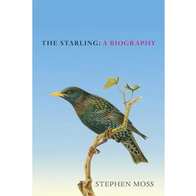 Afbeelding van The Starling