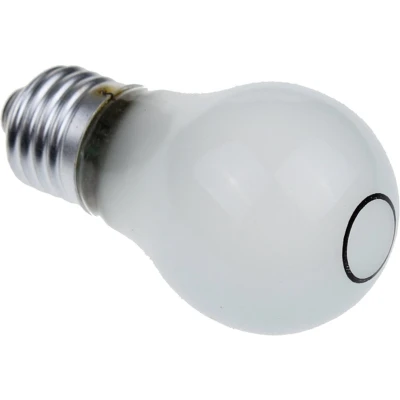 Afbeelding van Ampoule de réfrigérateur Whirlpool Indesit 481213418056 C00315052 gloeilamp