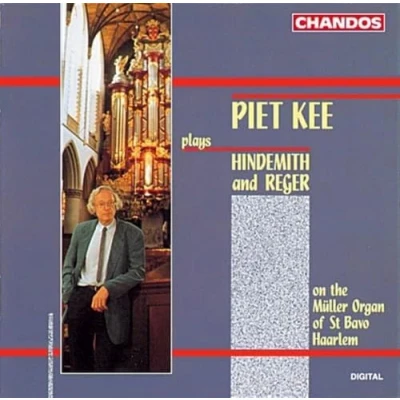 Afbeelding van Organ Works