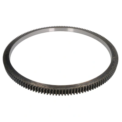 Afbeelding van Febi Bilstein Starterkrans 09831