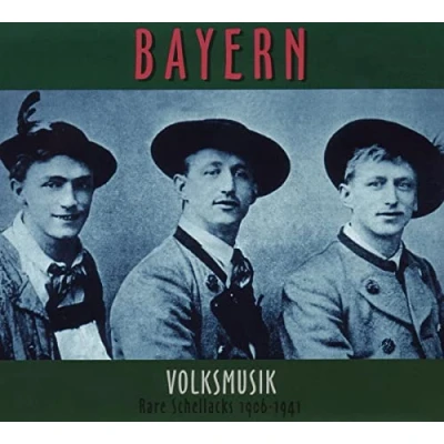 Afbeelding van Various Artists Bayern Volksmusik