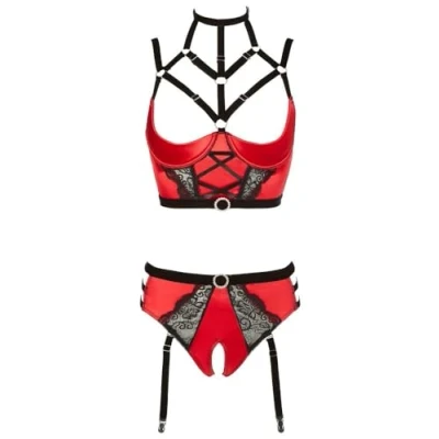 Afbeelding van Abierta Fina Lingerie Bustier Set Open Ontwerp met Jarretel Banden