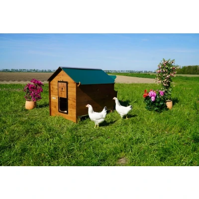 Afbeelding van Cucciolotta Kippenhok Polly Classic 2 XL