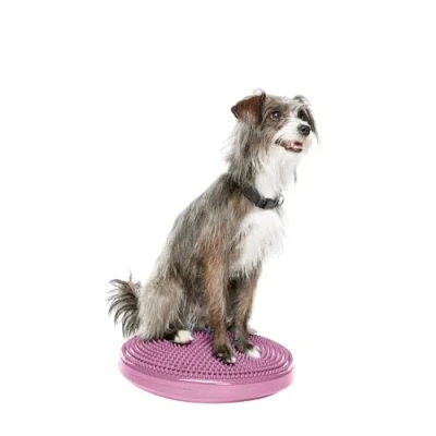 Afbeelding van FitPAWS Balance Disk Razzleberry