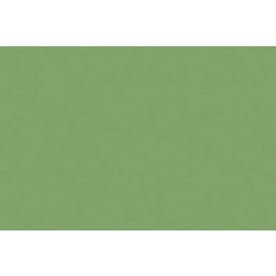 Afbeelding van Tekenpapier Folia A4 licht groen 130grs pak 100 vel