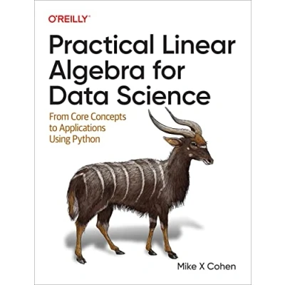 Afbeelding van Practical Linear Algebra for Data Science
