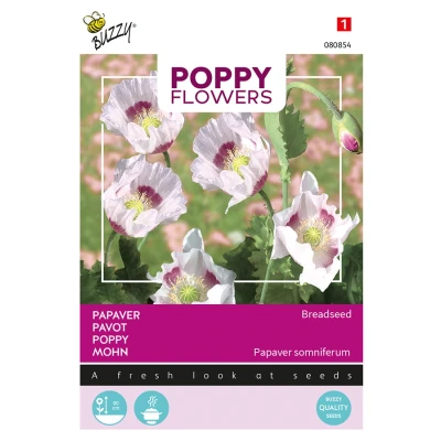 Afbeelding van Poppies of the world papaver blauwmaanzaad Buzzy