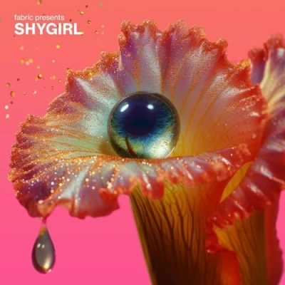 Afbeelding van Fabric Presents Shygirl