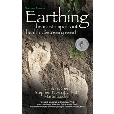 Afbeelding van Earthing