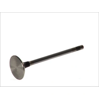 Afbeelding van Uitlaatklep FRECCIA R6150/BMCR