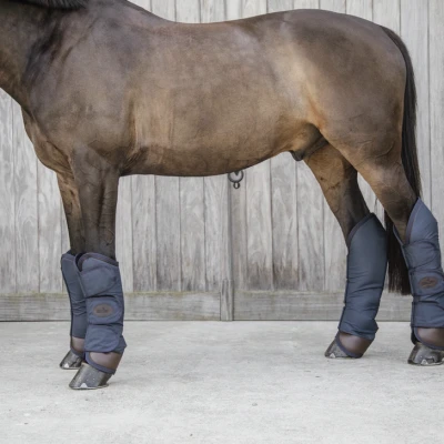 Image de Kentucky Horsewear Guêtres de Transport Marin Full
