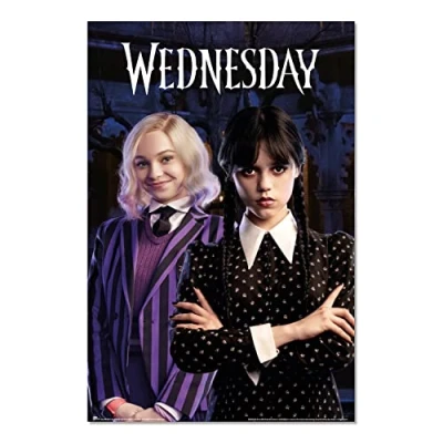 Afbeelding van Poster Wednesday and Enid 61x91,5cm