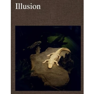 Afbeelding van ILLUSION
