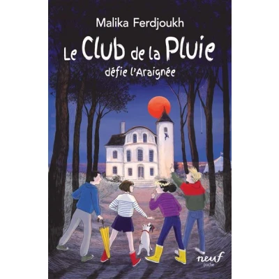 Image de Le Club de la Pluie défie l&#039;Araignée