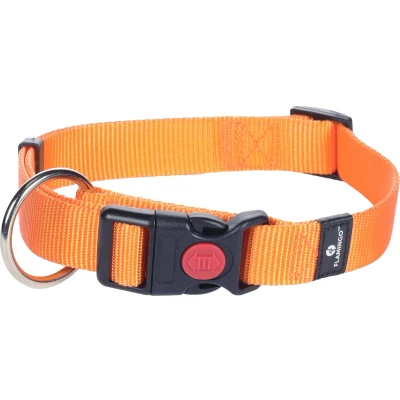Afbeelding van Halsband Ziggi Oranje 45 65 cm x 25 mm