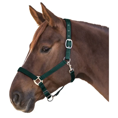Afbeelding van Waldhausen Halster Satin Donkergroen Paardenhalster Full