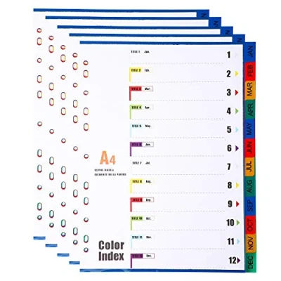 Afbeelding van Set van 5 tabbladen met 12 posities, A4 maandverdelers, janv dec, inhoudsopgave, verschillende kleuren