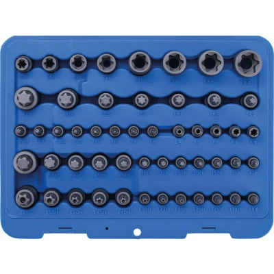 Afbeelding van BGS Bit en dopsleutelset Torx 52 delig