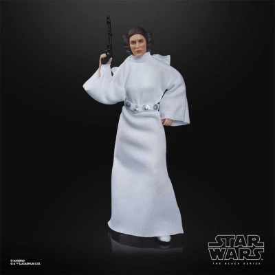 Afbeelding van Star Wars The Black Series Archive Princess Leia Organa